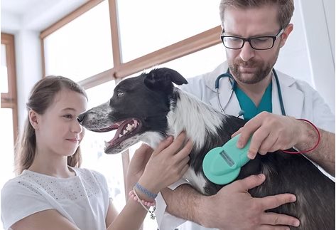 Veterinarians